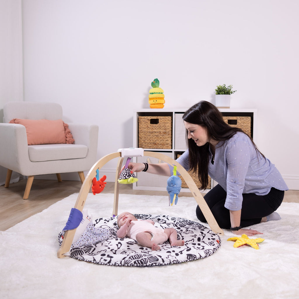 Melissa and Doug Ocean Easy-Fold Play Gym