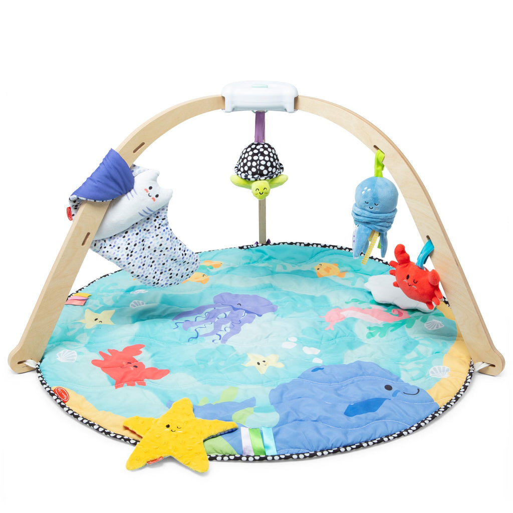 Melissa and Doug Ocean Easy-Fold Play Gym